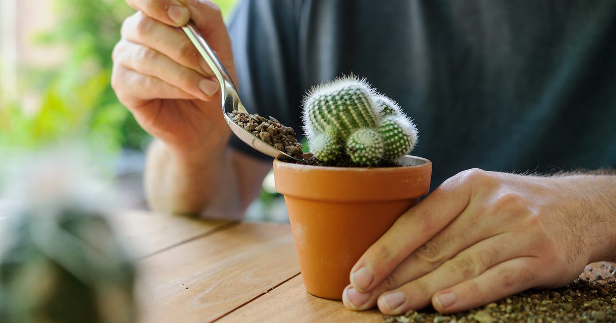 Cactus Mix soil blend product